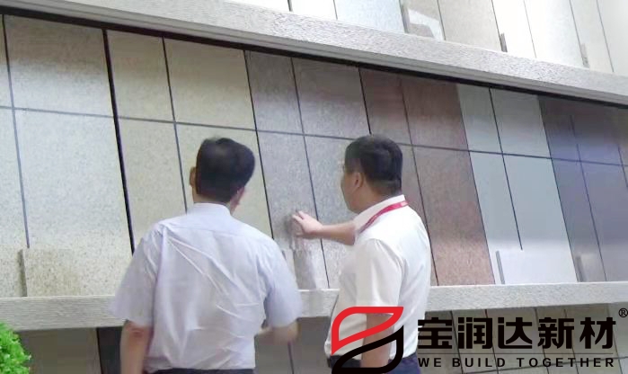 市人大常委會(huì )黨組書(shū)記劉明亮蒞臨寶潤達參觀(guān)考察