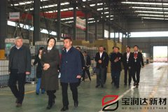 爨麗敏市長(cháng)一行蒞臨寶潤達視察